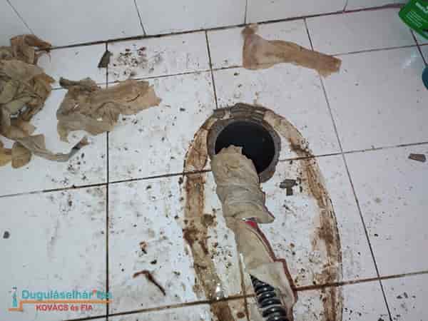 WC dugulas
