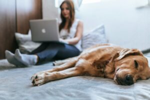Pszichológus online tanácsadás és életvezetési tanácsadás
