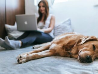 Pszichológus online tanácsadás és életvezetési tanácsadás